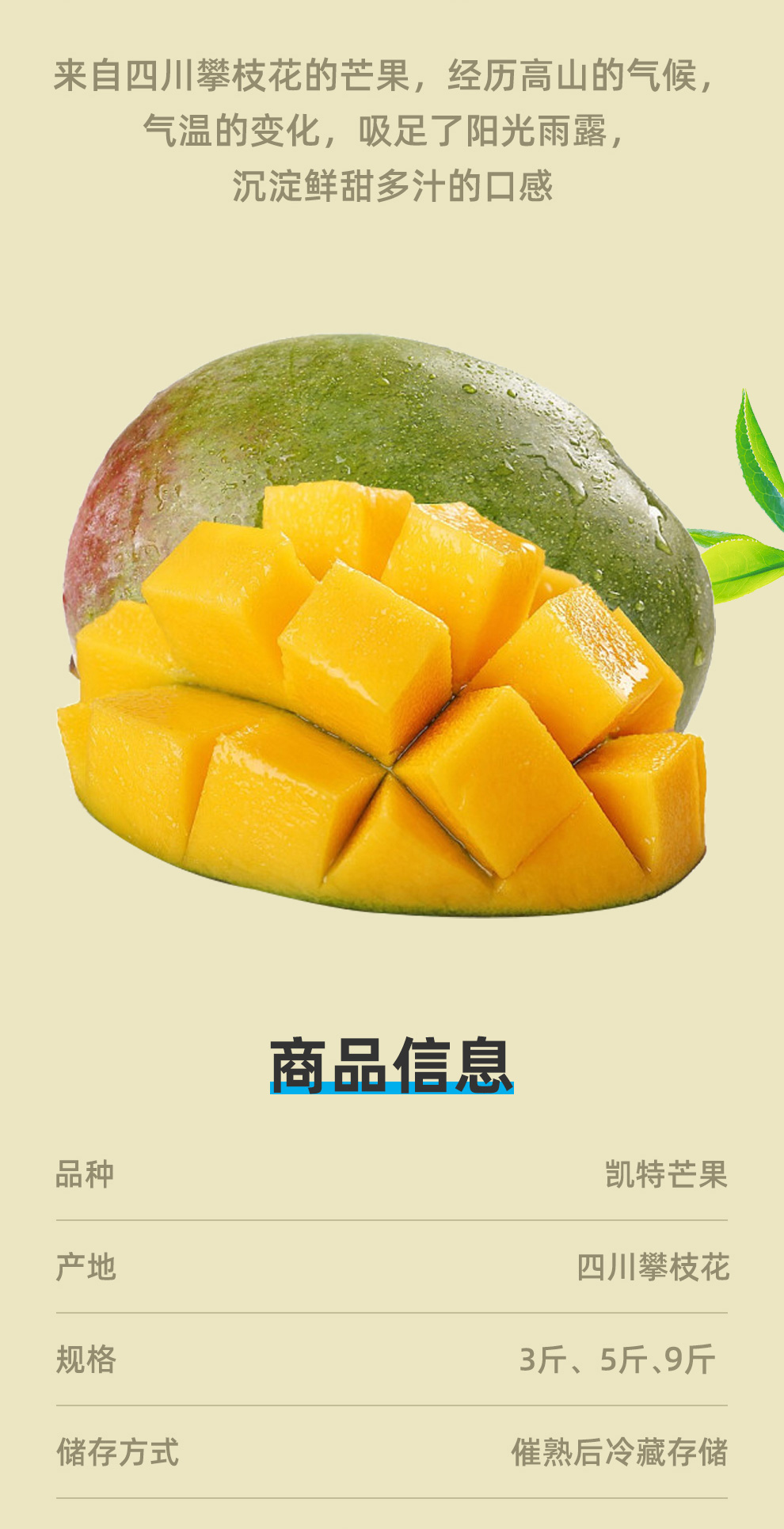 盒马生鲜 四川凯特芒 净重9斤 400g+大果 图4