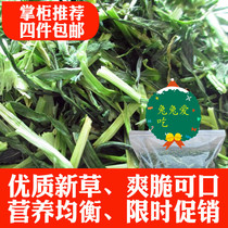 Large Wheat Grass Section 200 gr Bagged Guinea Pig Grain Dutch Pig Tian Geranium Rabbit Dry Grass Pasture Grass Fodder 4 Bags