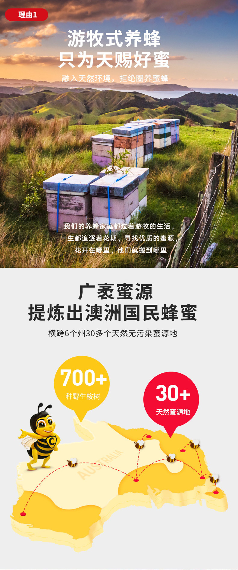 澳洲国民蜂蜜 Capilano 康蜜乐 原生态蜂蜜 500g 图3