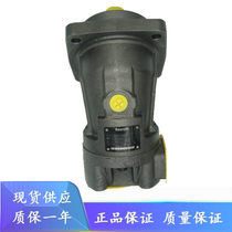 Replacement for Rexroth A2FO10 61R-PAB06 A2FO10 61R-PBB06 hydraulic piston pump