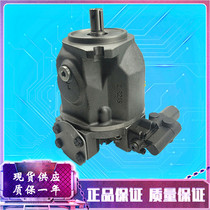 Replace Rexroth A10VSO28 DGDRDRGDFRDFR1 steel plant profile special piston pump