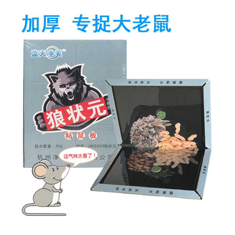 Dachau Blue Sky Net Beauty Sticky Rat Board Intensify Thickened Large Rat Bashing Rat Board Glued Rat Gum Home Import Glue 40g