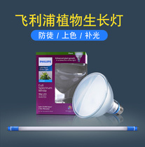  Philips full spectrum LED plant fill light lamp Household fleshy greenhouse indoor imitation sunlight cooperation