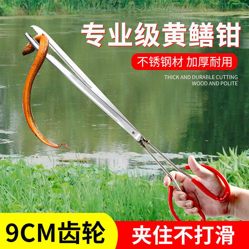Stainless steel yellow eel clips eel fish clip Nip Clay pliers Anti-slip anti-remove and catch a special tool to catch the sea deity