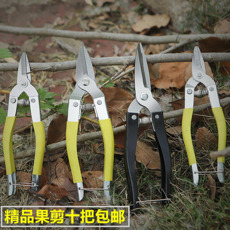 Pruning scissors fruit and vegetable scissors picking fruit scissors garden fruit tree scissors thick branch flower scissors labor-saving branch repair garden art branch scissors