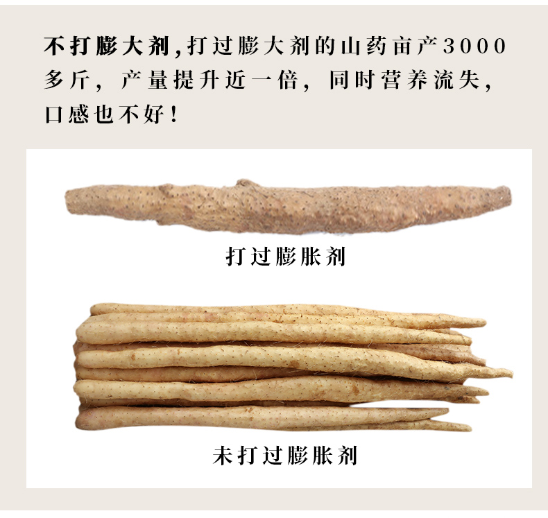鲜叶村 小白嘴铁棍山药 5斤 图3