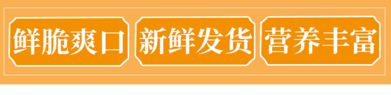 【净重5斤假一赔十】真正江西赣南脐橙