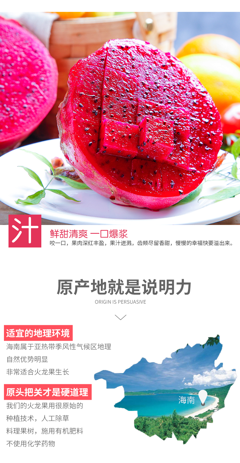 聚香园 海南 金都一号红心火龙果 5斤 图5