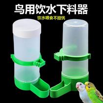 Bird with water drinker parrot Autobater feeder bird Automatic water feeder bird Drinking water Cup Bird Eater Food Kit