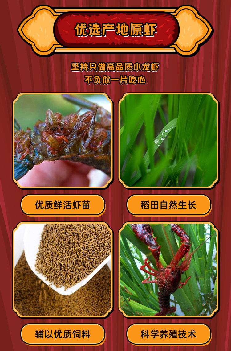 亿品阳澄 活虾现烧 十三香/蒜香/麻辣味小龙虾 单只4-6钱 净重500g/盒 图3