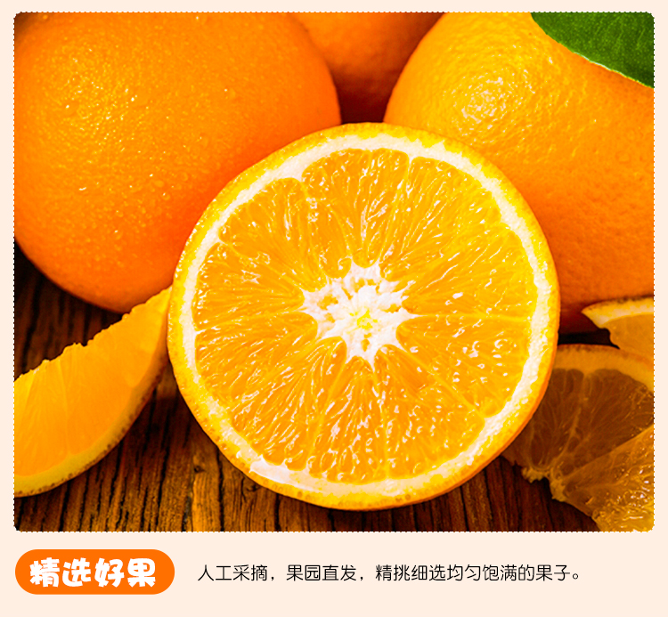 屈原橘颂原型 正宗秭归脐橙 3斤 图8