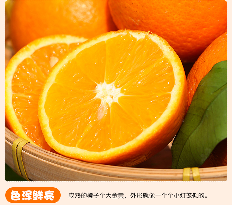 屈原橘颂原型 正宗秭归脐橙 3斤 图7