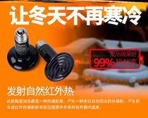 Climbing pet UVB lamp heating lamp Lizard Ceramic climbing pet Hedgehog heating temperature control insulation lamp Bulb feeding box maned lion