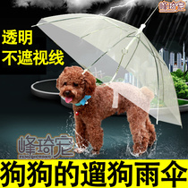Dog rain artifact walking dog umbrella pet umbrella small dog towing umbrella transparent than bear Teddy Chai Dog
