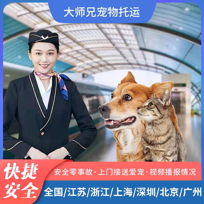 National Pet Consignment