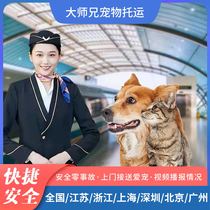 National Pet Consignment