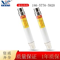 XRNT1-12 40A10kv indoor high voltage fuse high voltage current limiting Fuse Fuse Fuse Fuse Fuse glass fiber wire tube