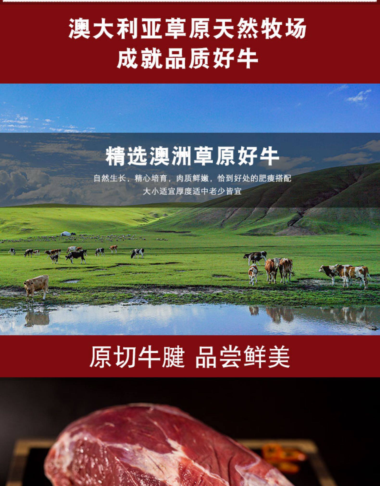 澳洲进口 牛腱子肉 金钱腱 2斤 图3
