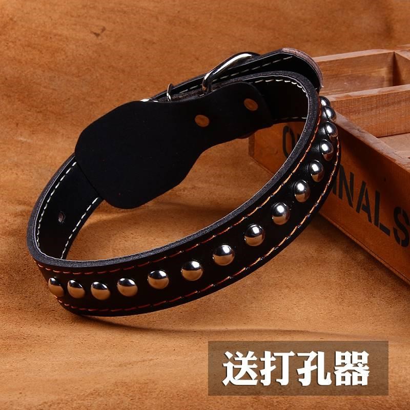 Bull Leather Neckline Alaska Haschichsa Moyer Puppies Adult Dog Border Shepherd Dog Labrador Dog Neck