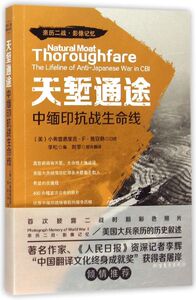天堑通途(中缅印抗战生命线)