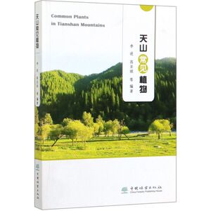 天山常见植物