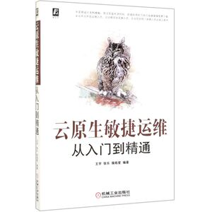 云原生敏捷运维从入门到精通