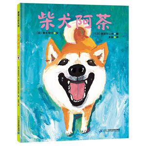 柴犬阿茶(精)