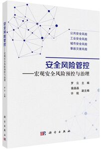 安全风险管控--宏观安全风险预控与治理