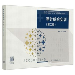 审计综合实训(第2版会计专业互联网+课岗训融合新形态一体化