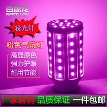 Golden light color led bulb e27 corn lamp warm light indoor bulb lamp blue pink purple background decorative lighting