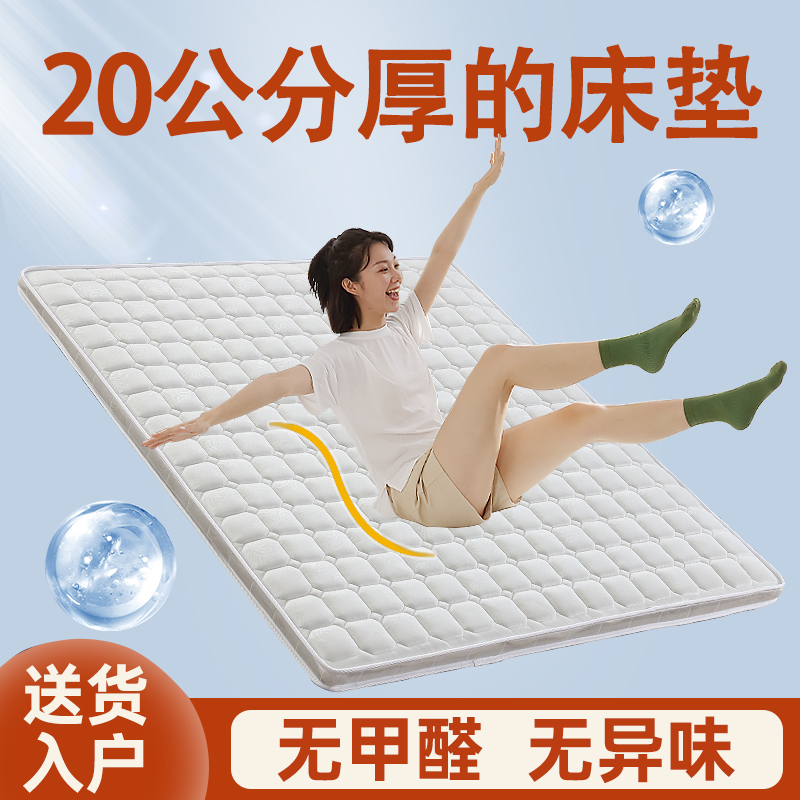 Coconut Palm Mattress 20cm Natural Palm Fiber Mattress 15cm Latex Mattress 10cm Thick Mattress for Home Bedroom Hard