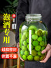 Green Plum Wine Jar, Food-Grade Household Sealed Special Wine Bottle, Empty Container for Soaking Wine, Bayberry Fruit Wine Glass Bottle