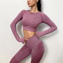 Yoga suit woman suit tight long sleeve short sleeve high waist yoga pants fitness long pants shorts sports fitness suit