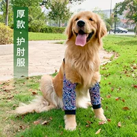 Тибетские английские эльберс