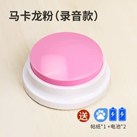 Записанная модель [Порошок макарон]