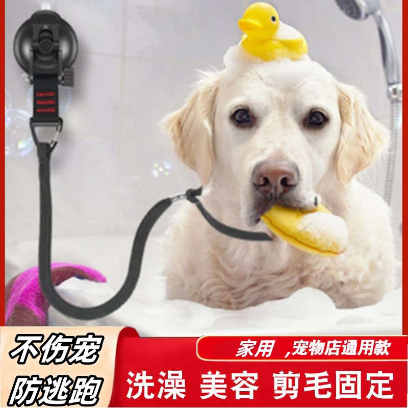 Pet Pooch Bath Fixer Big Dog Anti-Escape Pet Beauty Desk Slings Hair Cut Blow-dry Suction Cups Traction Rope-Taobao