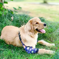 Тибетская синяя звезда пустое локоть