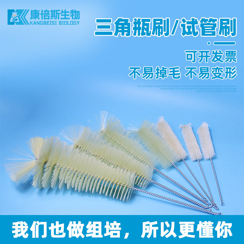 实验室用猪鬃毛试管刷三角瓶刷100ml至1000ml适用清洗工具