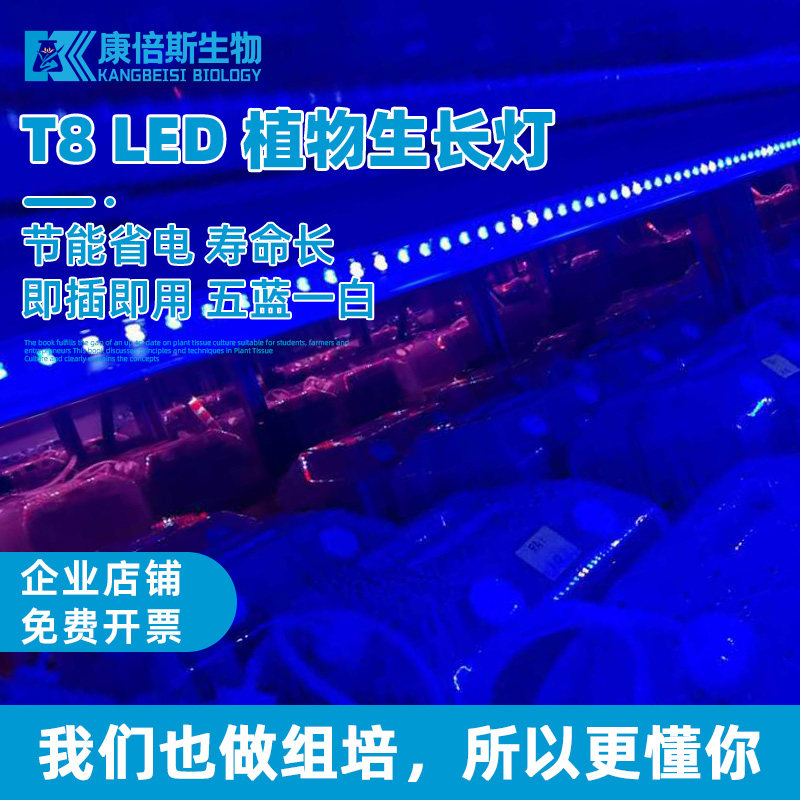 康倍斯抗氧化剂PVP-K30 柠檬酸抗坏血酸VC维生素C活性炭吸附剂 实验室用防褐化抗氧化剂