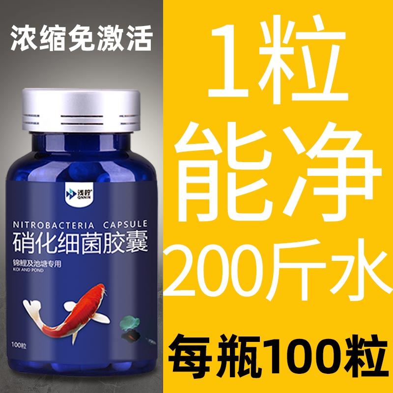 Arowana nitrifying bacteria capsule fish tank with shrimp tank grass tank freshwater tank digestion bacteria dry powder nitrification bacteria purified water