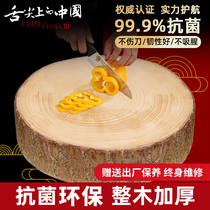 Tai apricot ginkgo wood cutting board household antibacterial and mildew resistant solid wood vegetable Pier cutting board white fruit tree vegetable board whole wood knife round thick