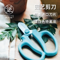 Gardening scissors pruning shears branches shears household flower shears fruit tree pruning branches artifact floral scissors garden tools