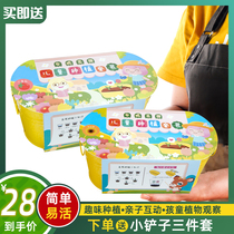 Children grow small potted plants creative small flower grower mini tomato strawberry kindergarten diy plant set observation box