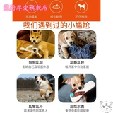 Артефакты собак, тренировка собак, тренировочная собачья палка, любимая любимая любимая собака, собака, кнут, тренировочная тренажера для собак.