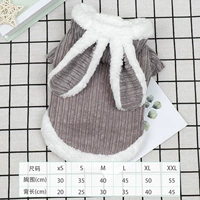 Кролик с хорошим бомбардировкой