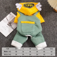 Крылья ангела