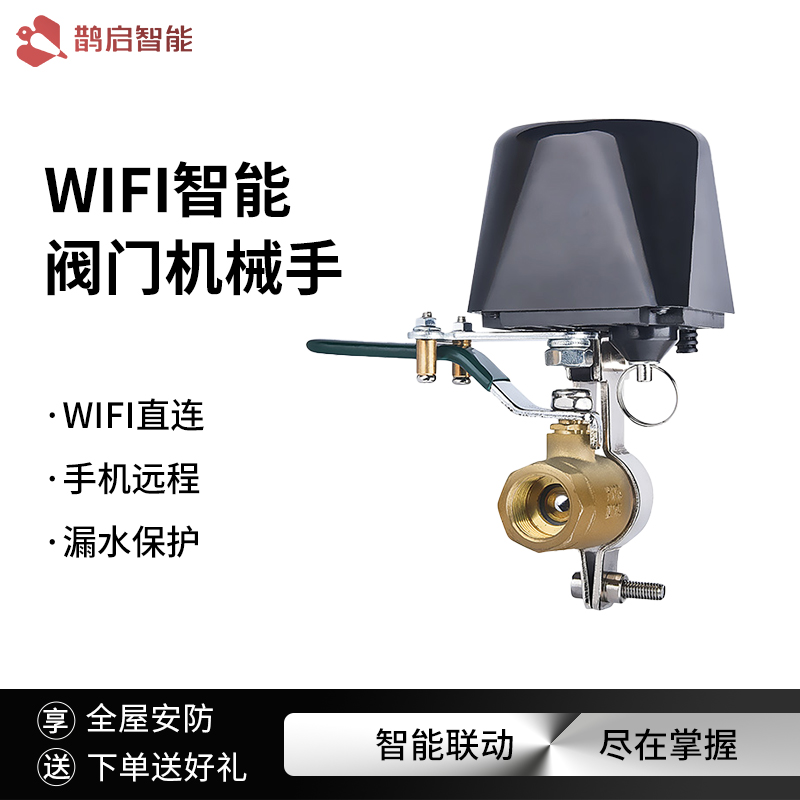 Graffiti Intelligent APP Manipulator Valve Gas Leak Pipe Linkage Switch Sky Cat Elf Small Love Small Degree Sound Control