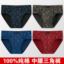 Briefs Mens Cotton Mid Waist 100% Cotton Fabric Youth Trousers Cotton Boys Shorts Breathable Briefs