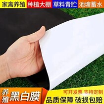 Imported black and white film thickened sunscreen greenhouse film edible fungus film breeding insulation cooling green storage pond anti-seepage reflective