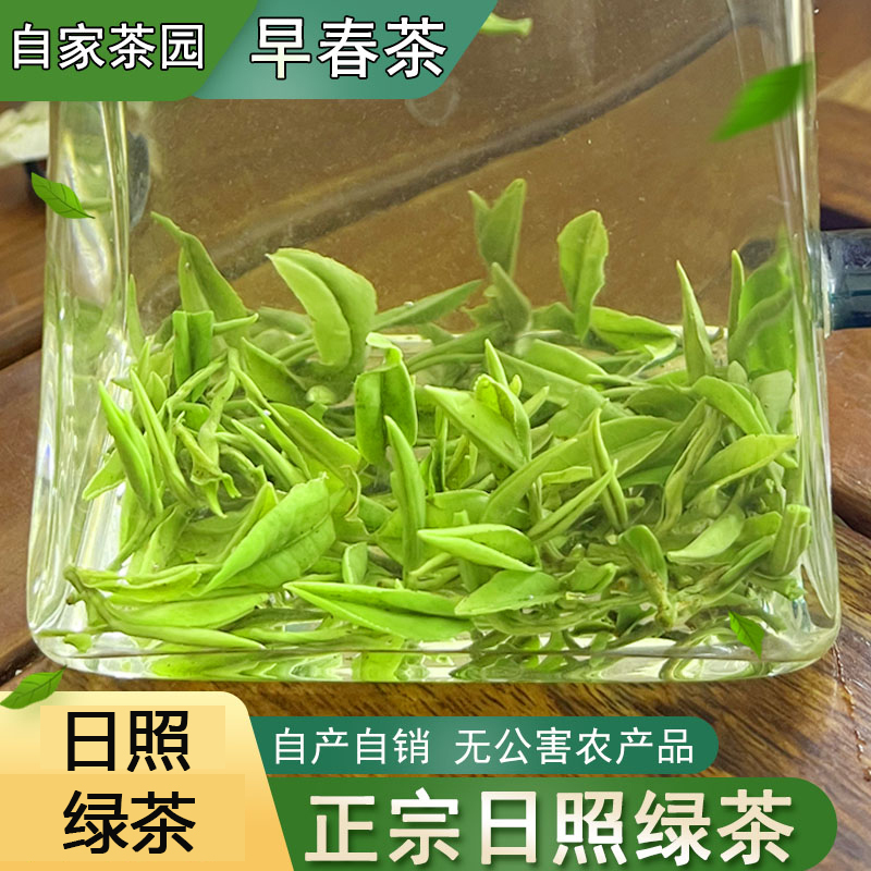 2026 Rizhao Green Tea, Roasted Green Tea, New Spring Tea, Fragrant Type, Chestnut Aroma, Authentic Shandong Specialty, 500g, Premium Grade